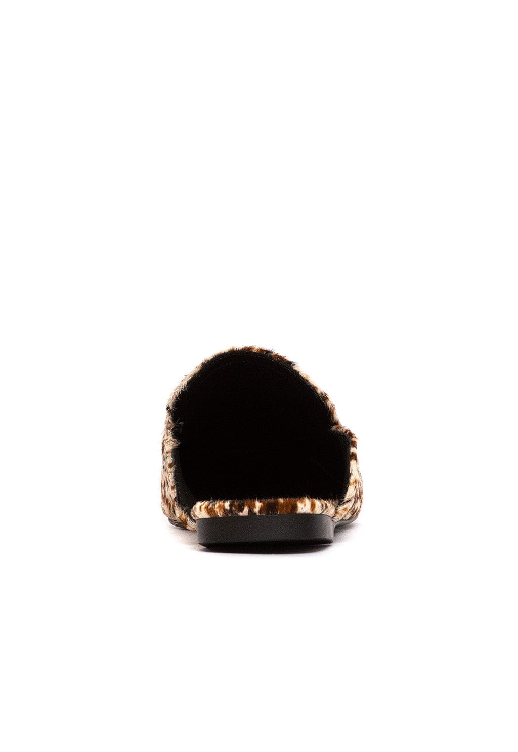 Babucha Mujer / Bosco Print BABUCHAS Giani Dafirenze