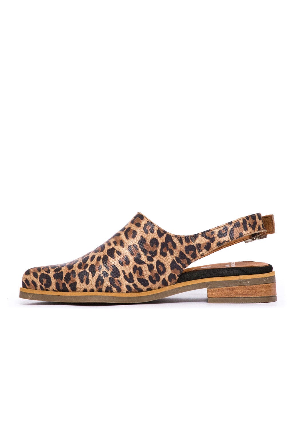 Babucha Mujer / Cardelina Print ZAPATOS Giani Dafirenze