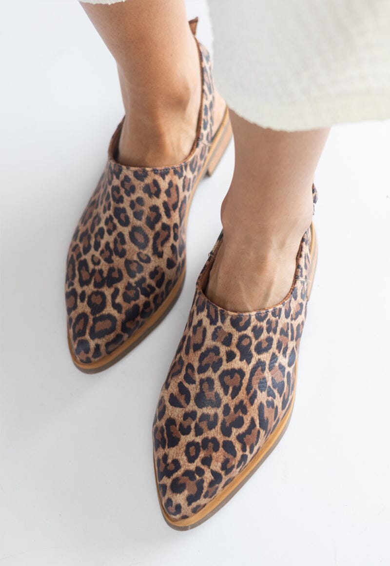 Babucha Mujer / Cardelina Print ZAPATOS Giani Dafirenze