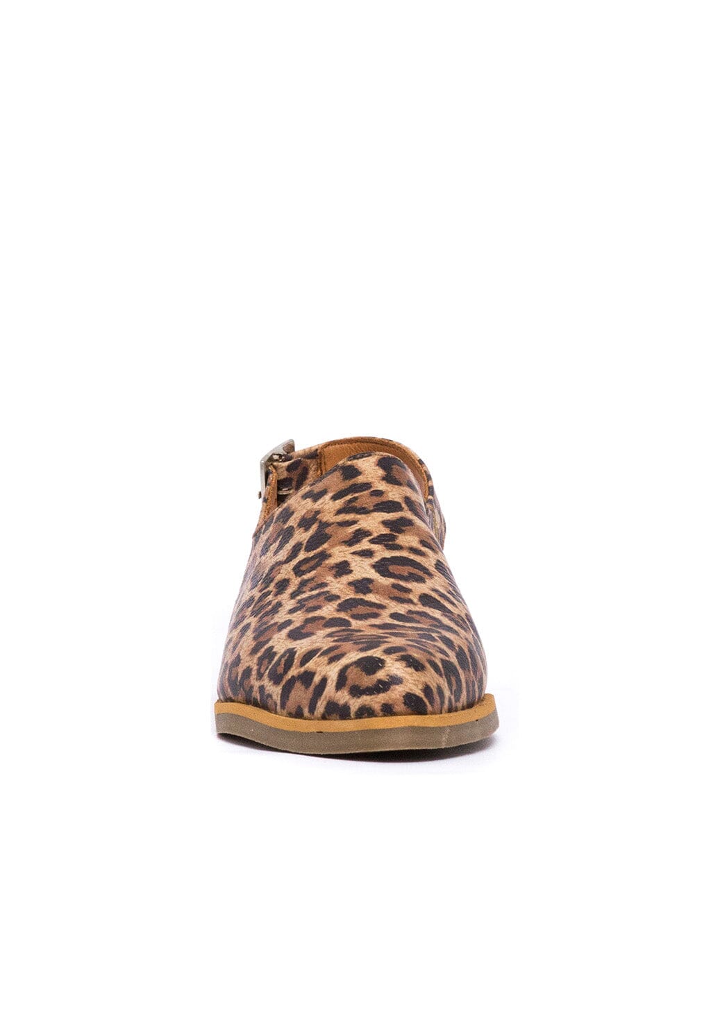Babucha Mujer / Cardelina Print ZAPATOS Giani Dafirenze