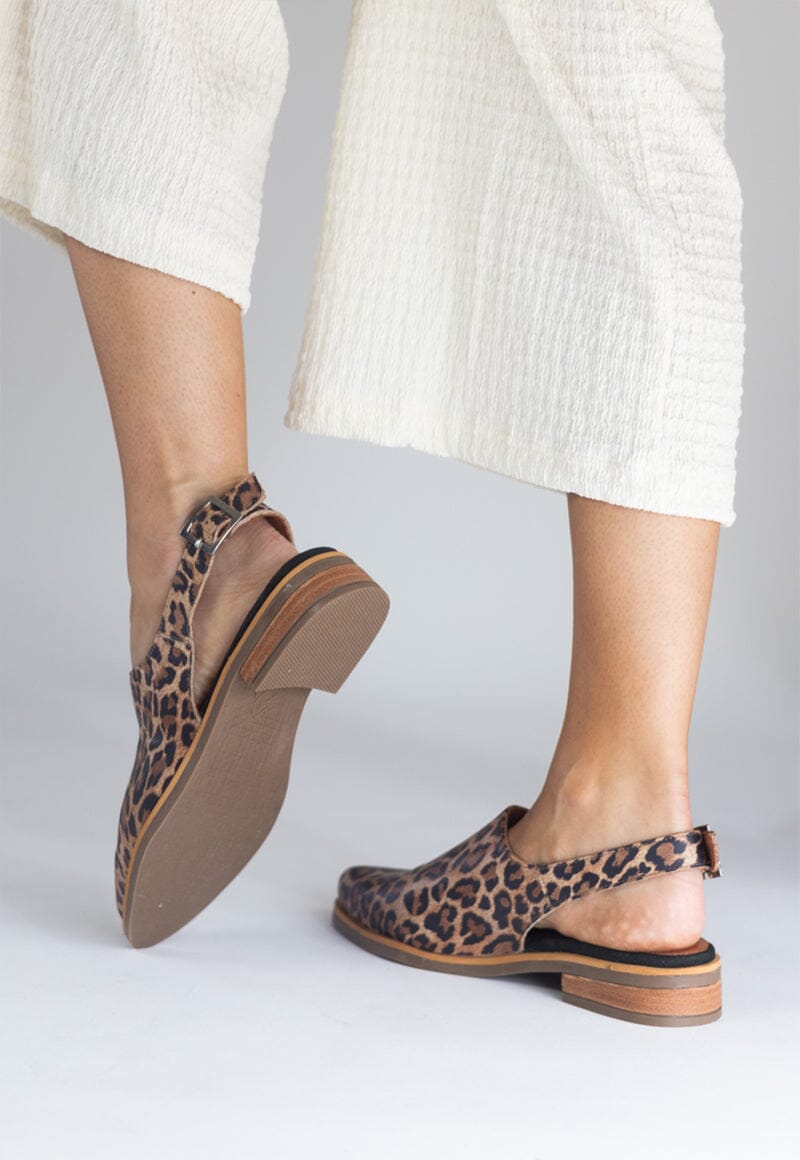 Babucha Mujer / Cardelina Print ZAPATOS Giani Dafirenze