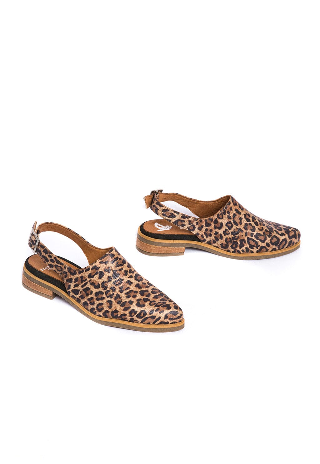 Babucha Mujer / Cardelina Print ZAPATOS Giani Dafirenze