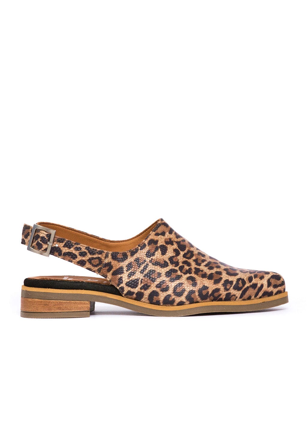 Babucha Mujer / Cardelina Print ZAPATOS Giani Dafirenze
