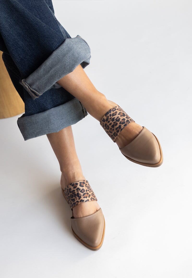 Babucha Mujer / Gaviota Café Print BABUCHAS Giani Dafirenze