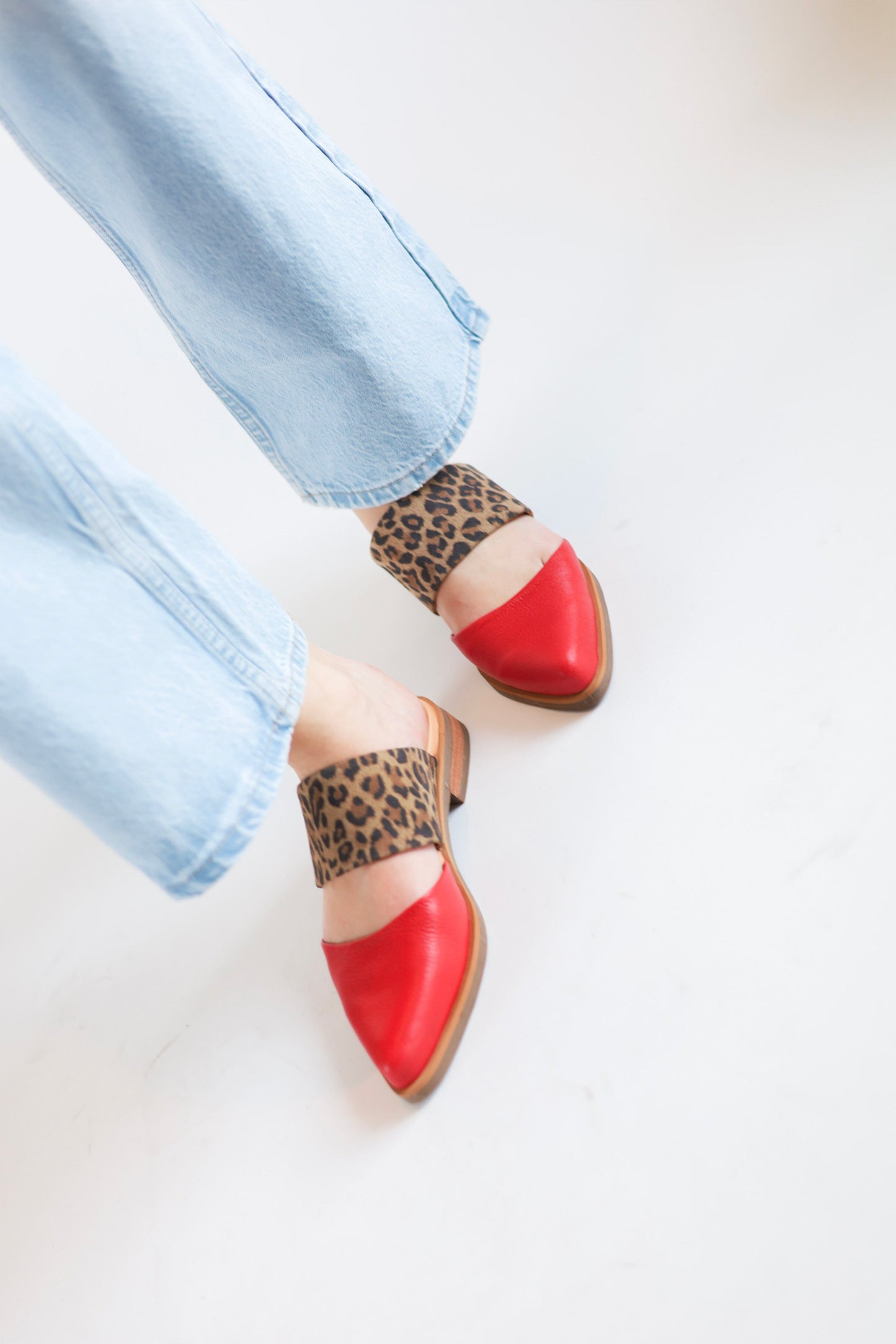 Babucha Mujer / Gaviota Leopardo Rojo BABUCHAS Giani Dafirenze