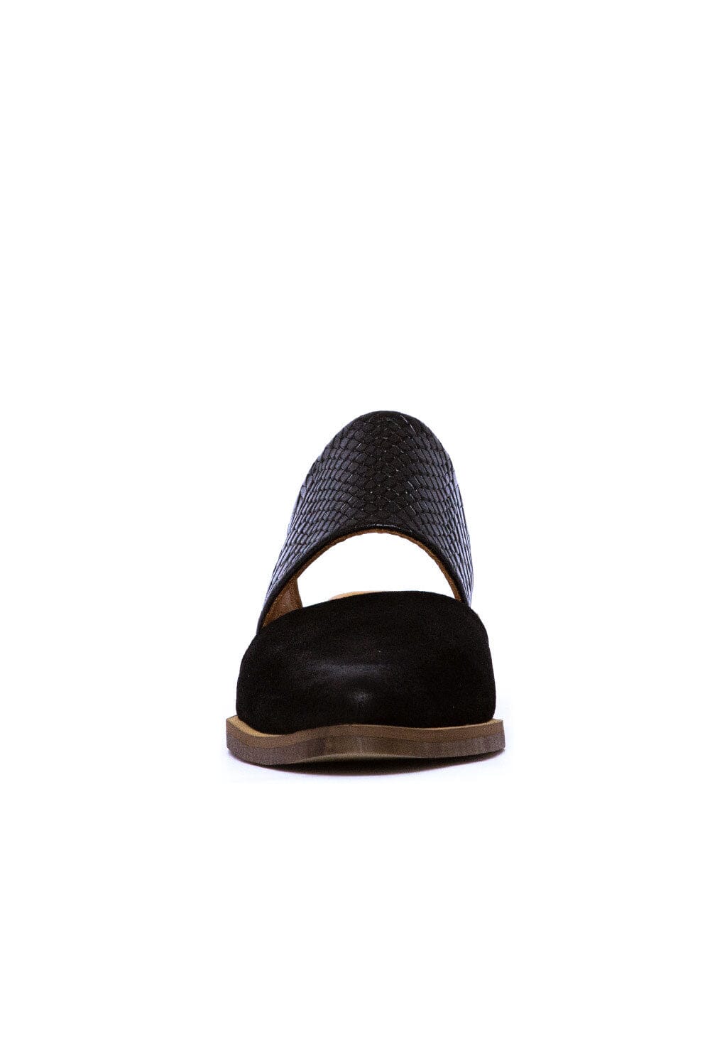 Babucha Mujer / Gaviota Negro BABUCHAS Giani Dafirenze