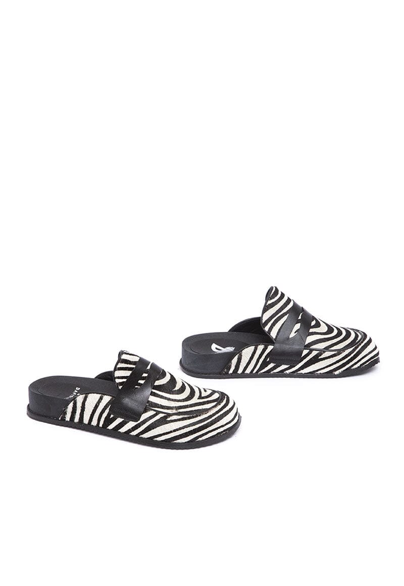 Babucha Mujer / Nissi Zebra BABUCHAS Giani Dafirenze