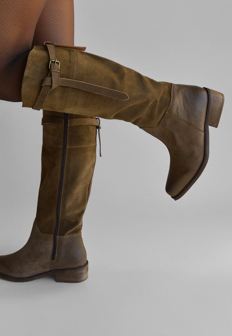 Bota Mujer / Sonia Café BOTAS Giani Dafirenze