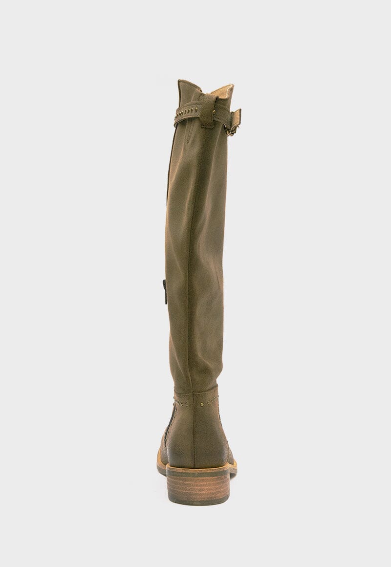 Botas Mujer / Carmen Verde BOTAS Giani Dafirenze