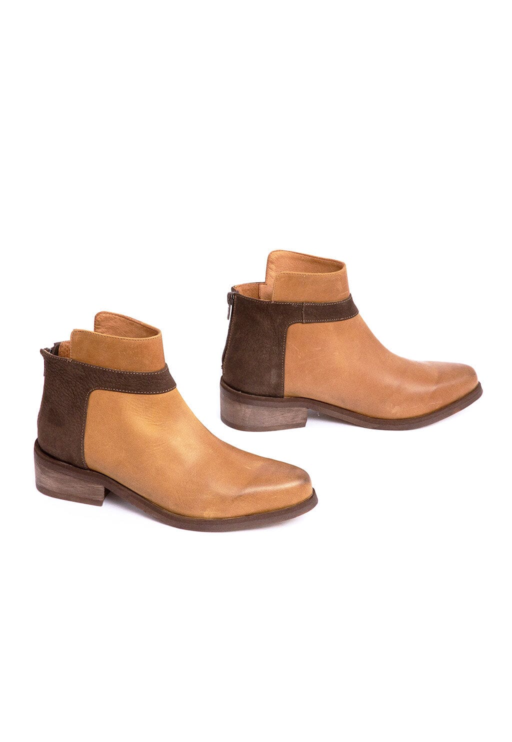 Botin Mujer / Antonieta Camel Café BOTINES Giani Dafirenze