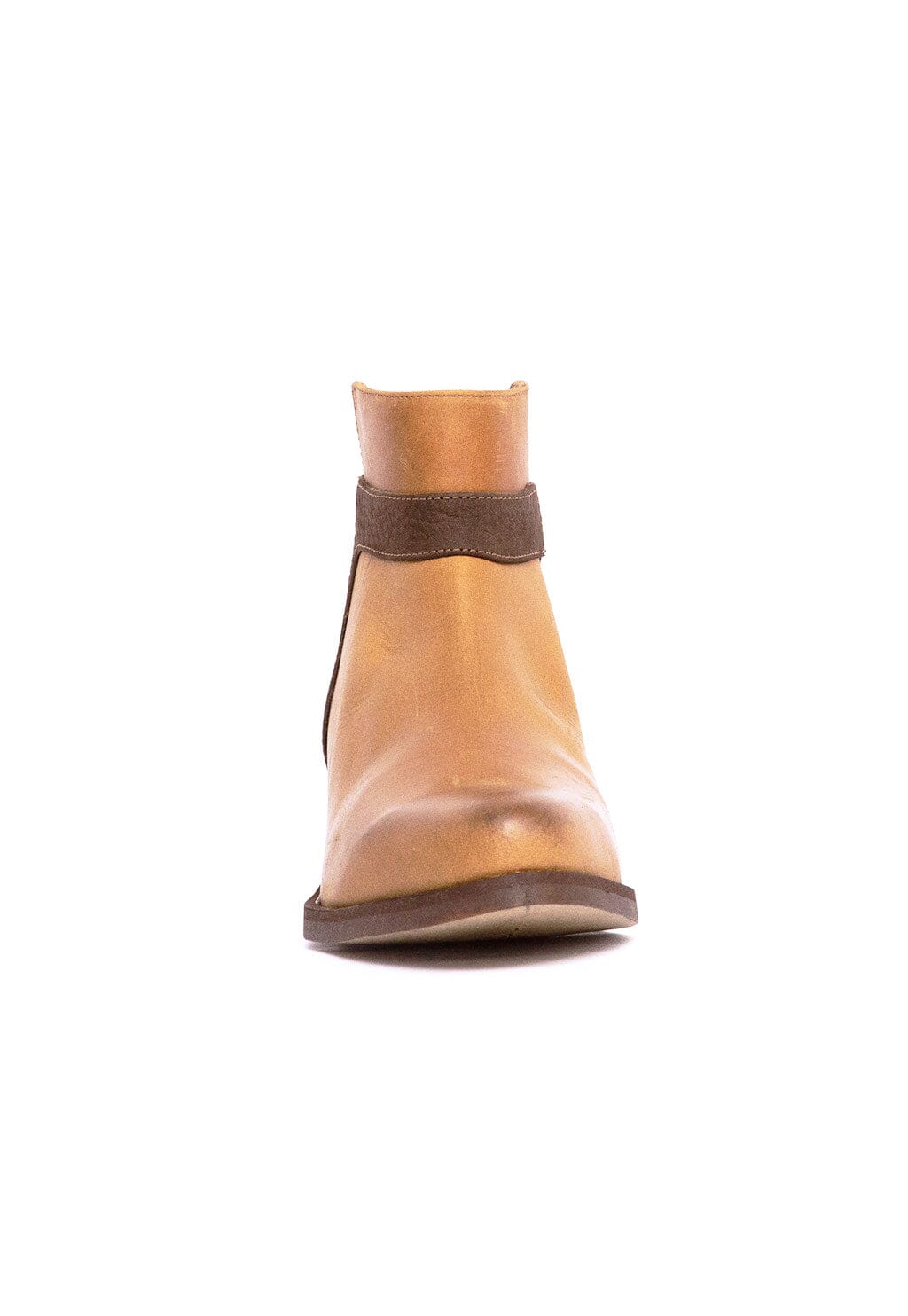 Botin Mujer / Antonieta Camel Café BOTINES Giani Dafirenze