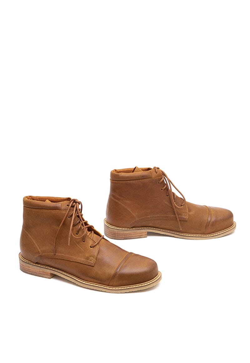 Botines ELIAS C16 Botines Dafirenze