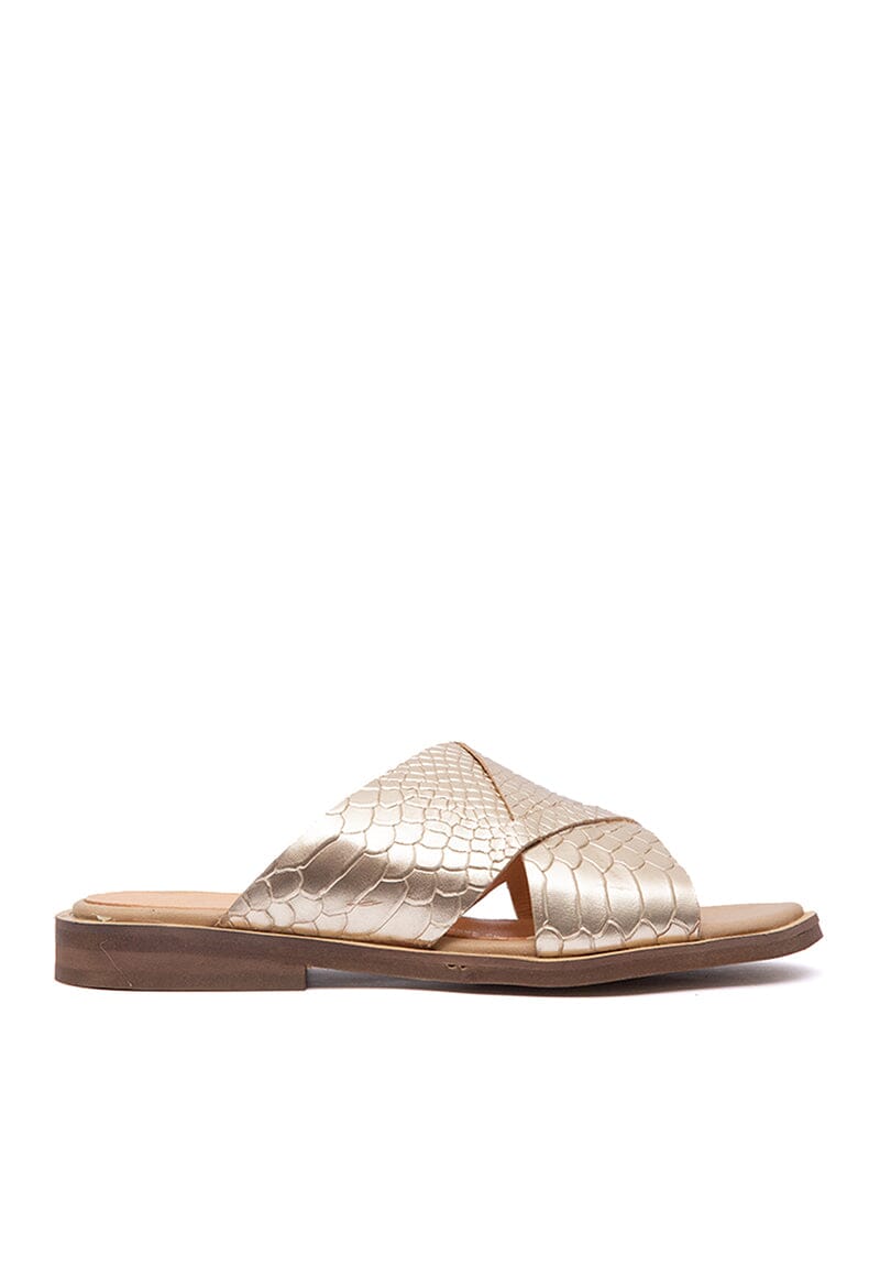 Sandalia Mujer / Columbina Niquel SANDALIAS Giani Dafirenze