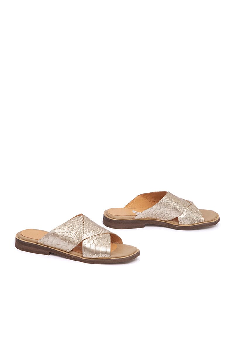 Sandalia Mujer / Columbina Niquel SANDALIAS Giani Dafirenze