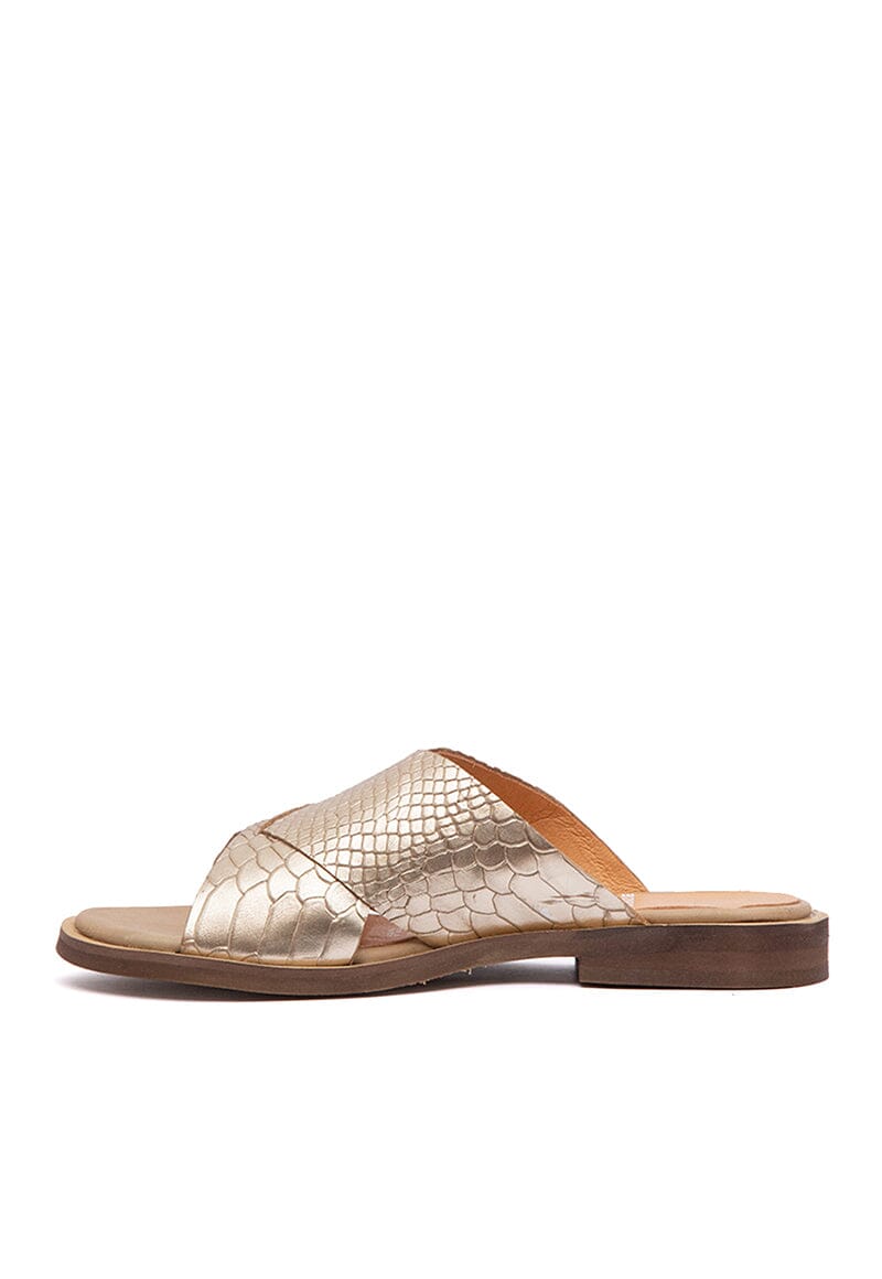 Sandalia Mujer / Columbina Niquel SANDALIAS Giani Dafirenze