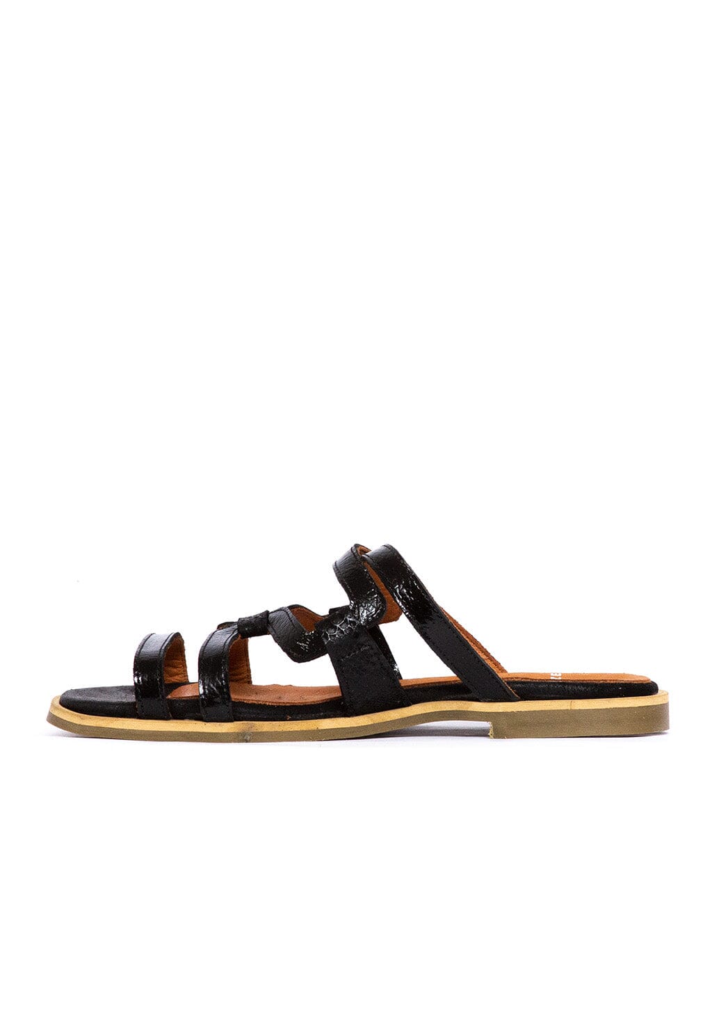 Sandalia Mujer / Costa Negro SANDALIAS Giani Dafirenze