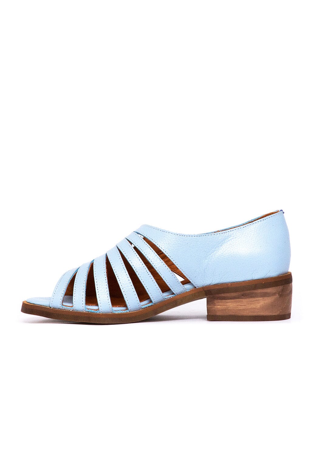 Sandalia Mujer / Mielero Celeste SANDALIAS Giani Dafirenze
