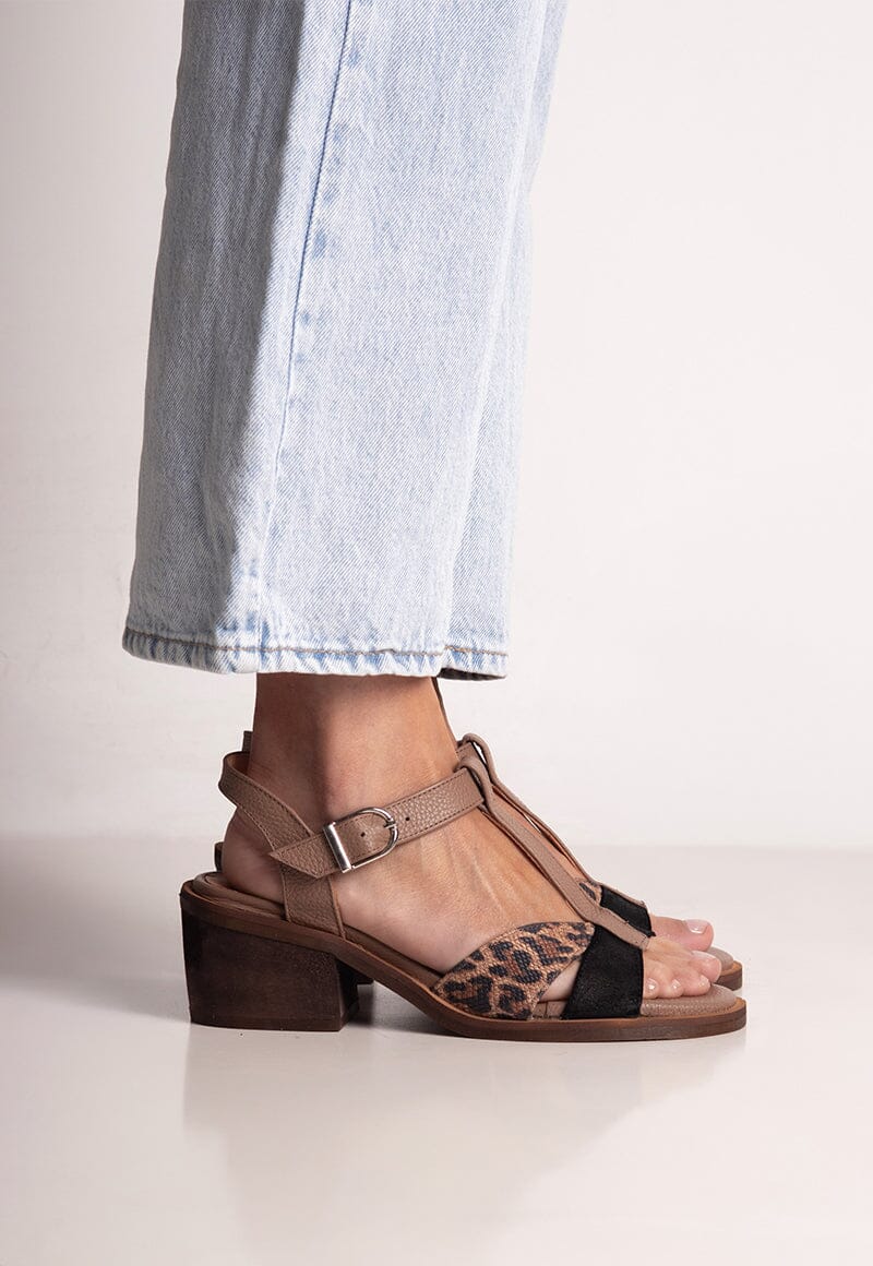 Sandalia Mujer / Sauco Negro SANDALIAS Giani Dafirenze