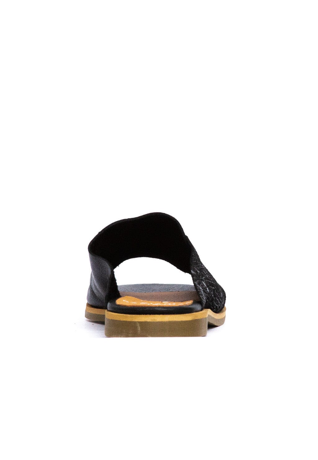 Sandalia Mujer / Terra Negro SANDALIAS Giani Dafirenze