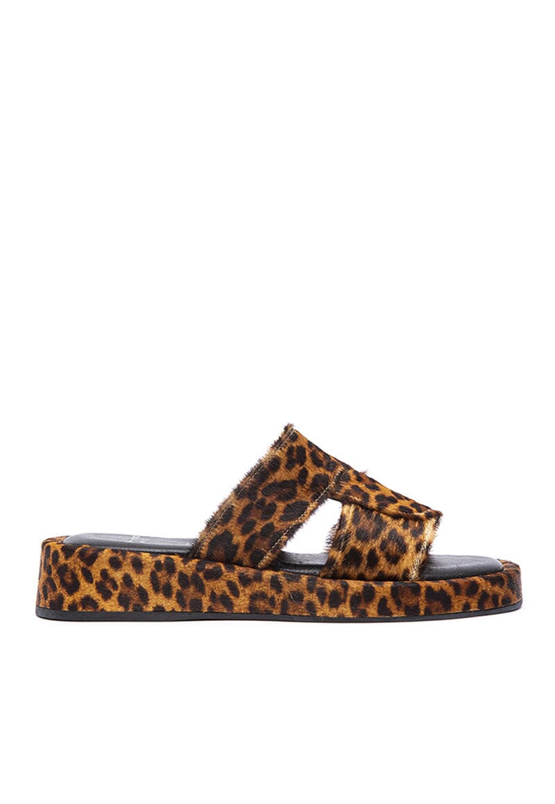 Sandalia Mujer / Zante Leopardo SANDALIAS Giani Dafirenze