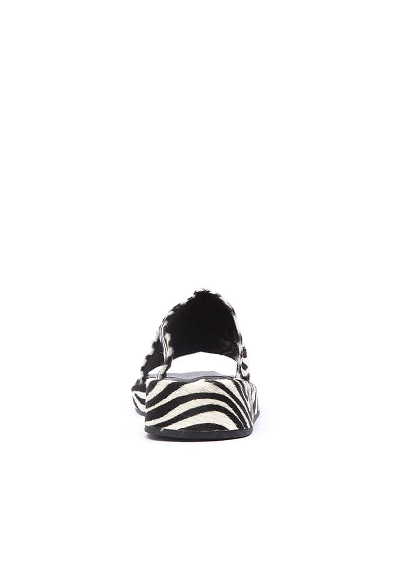 Sandalia Mujer / Zante Zebra SANDALIAS Giani Dafirenze