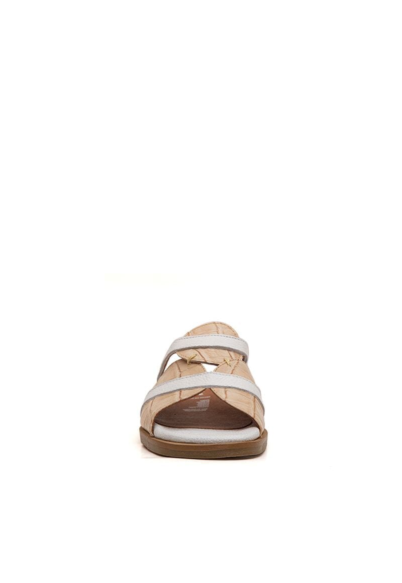 Sandalias ARCE C2 SANDALIAS Giani Dafirenze