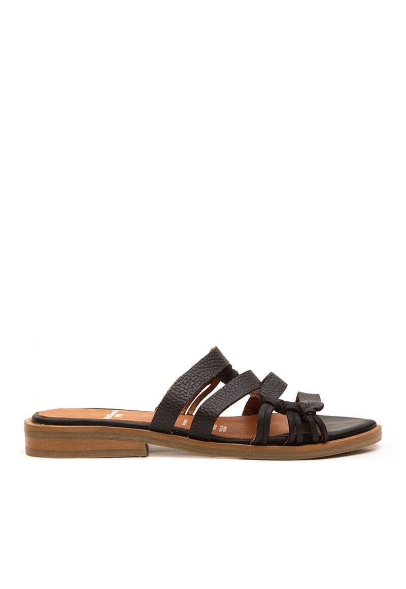 Sandalias FRESNO C1 SANDALIAS Giani Dafirenze