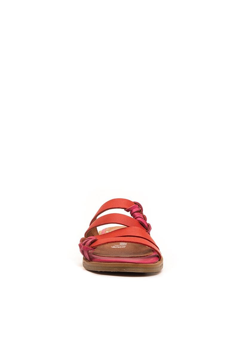 Sandalias FRESNO C2 SANDALIAS Giani Dafirenze
