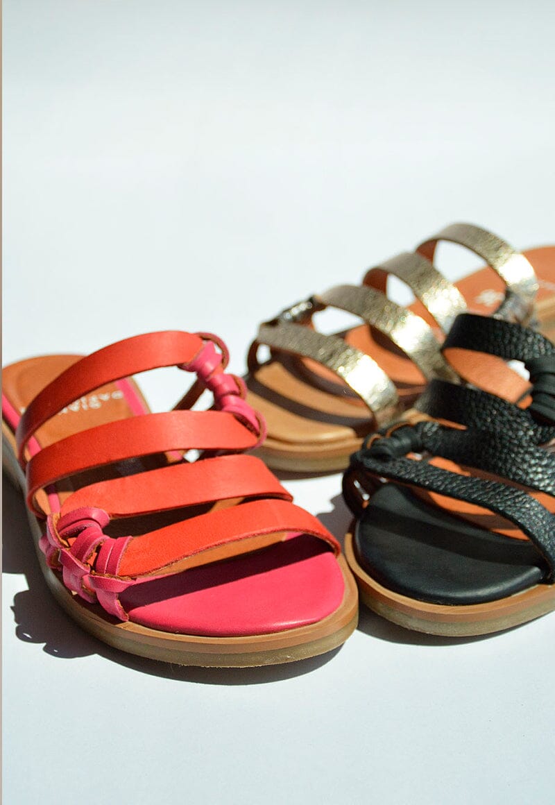 Sandalias FRESNO C2 SANDALIAS Giani Dafirenze