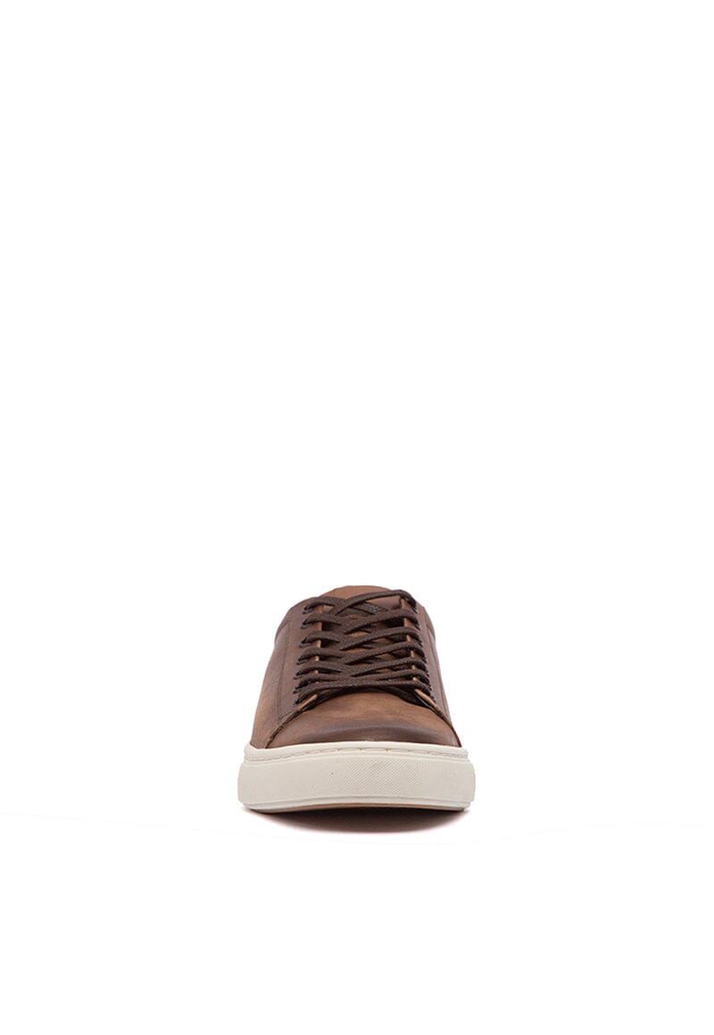 Zapatilla Hombre / Lilo Café Zapatillas Dafirenze