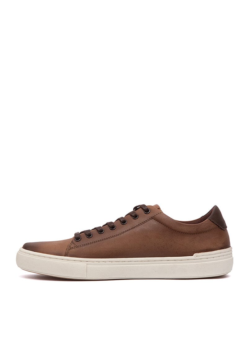 Zapatilla Hombre / Lilo Café Zapatillas Dafirenze