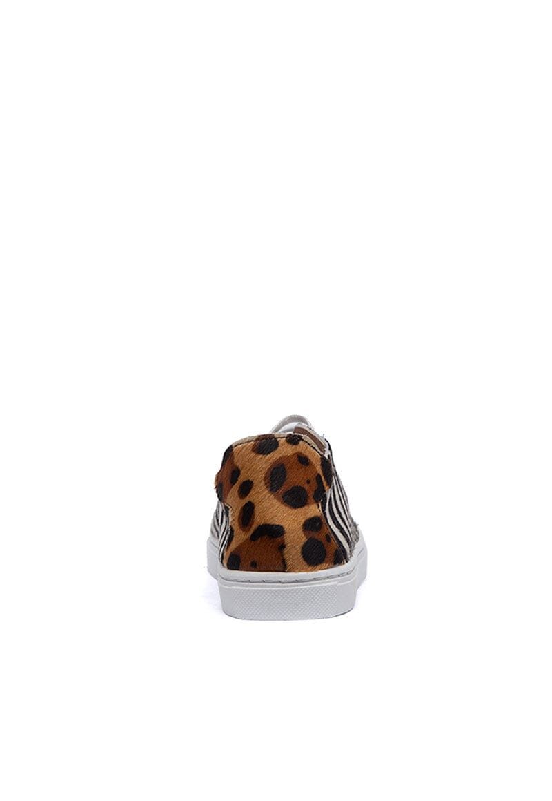 Zapatilla Mujer / Roques Zebra Zapatillas Giani Dafirenze