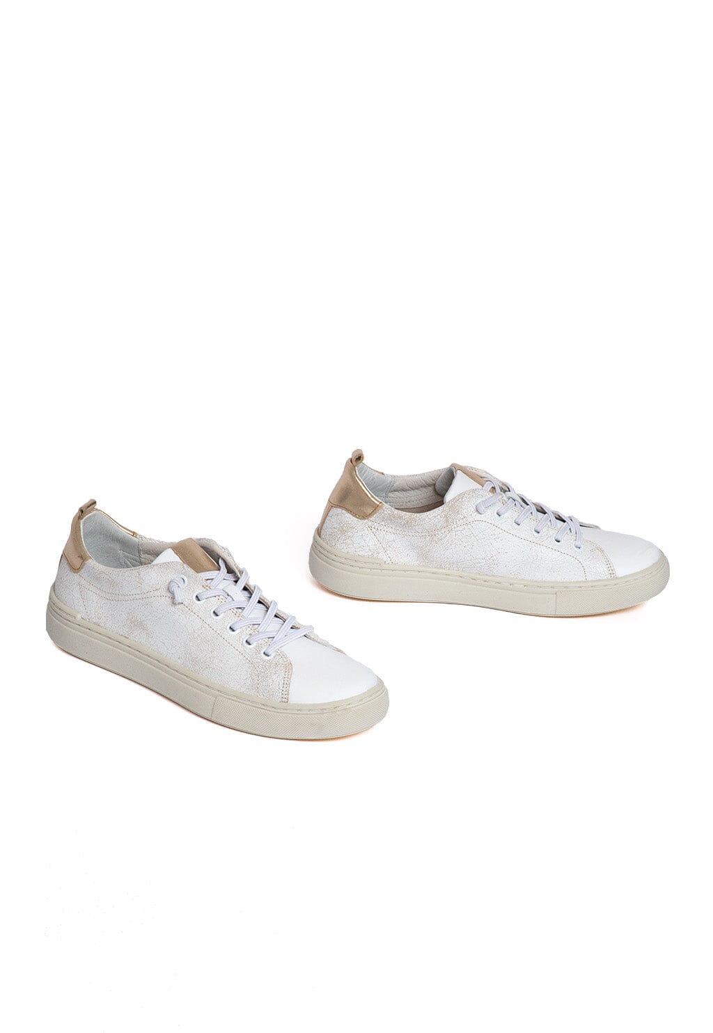Zapatilla Mujer / Violeta Blanca ZAPATILLAS Giani Dafirenze