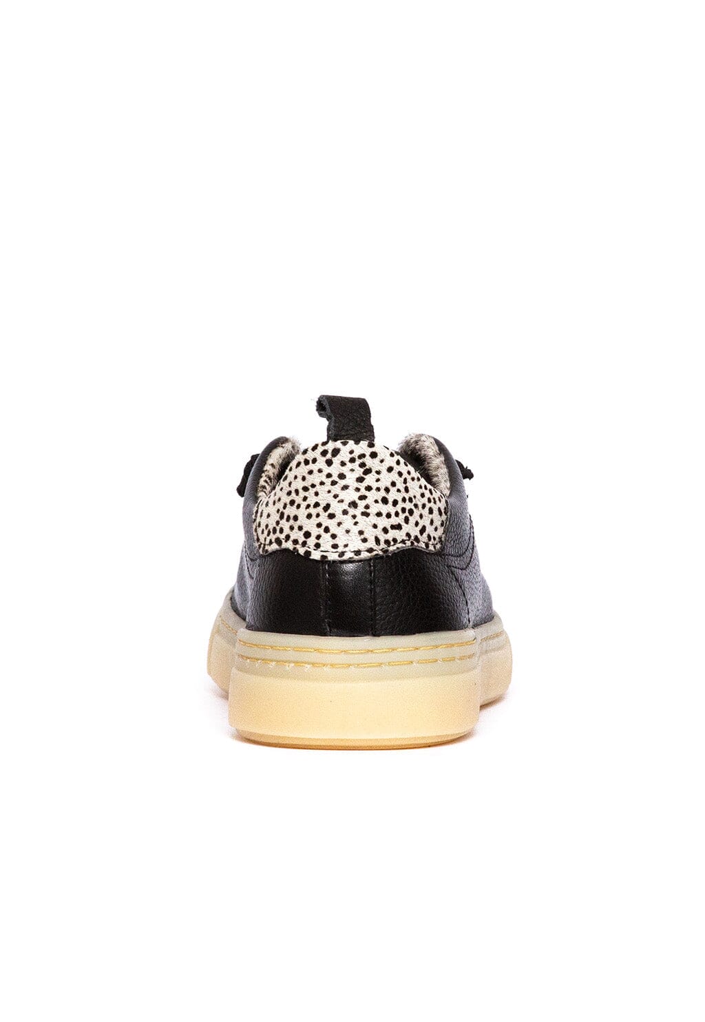 Zapatilla Mujer / Violeta Negro ZAPATILLAS Giani Dafirenze