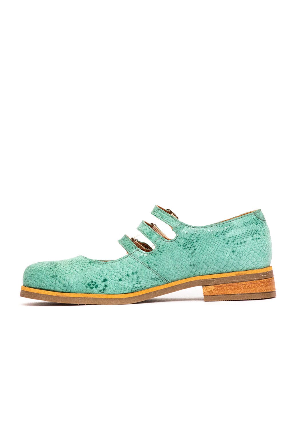 Zapato Mujer / Cavancha Menta ZAPATOS Giani Dafirenze