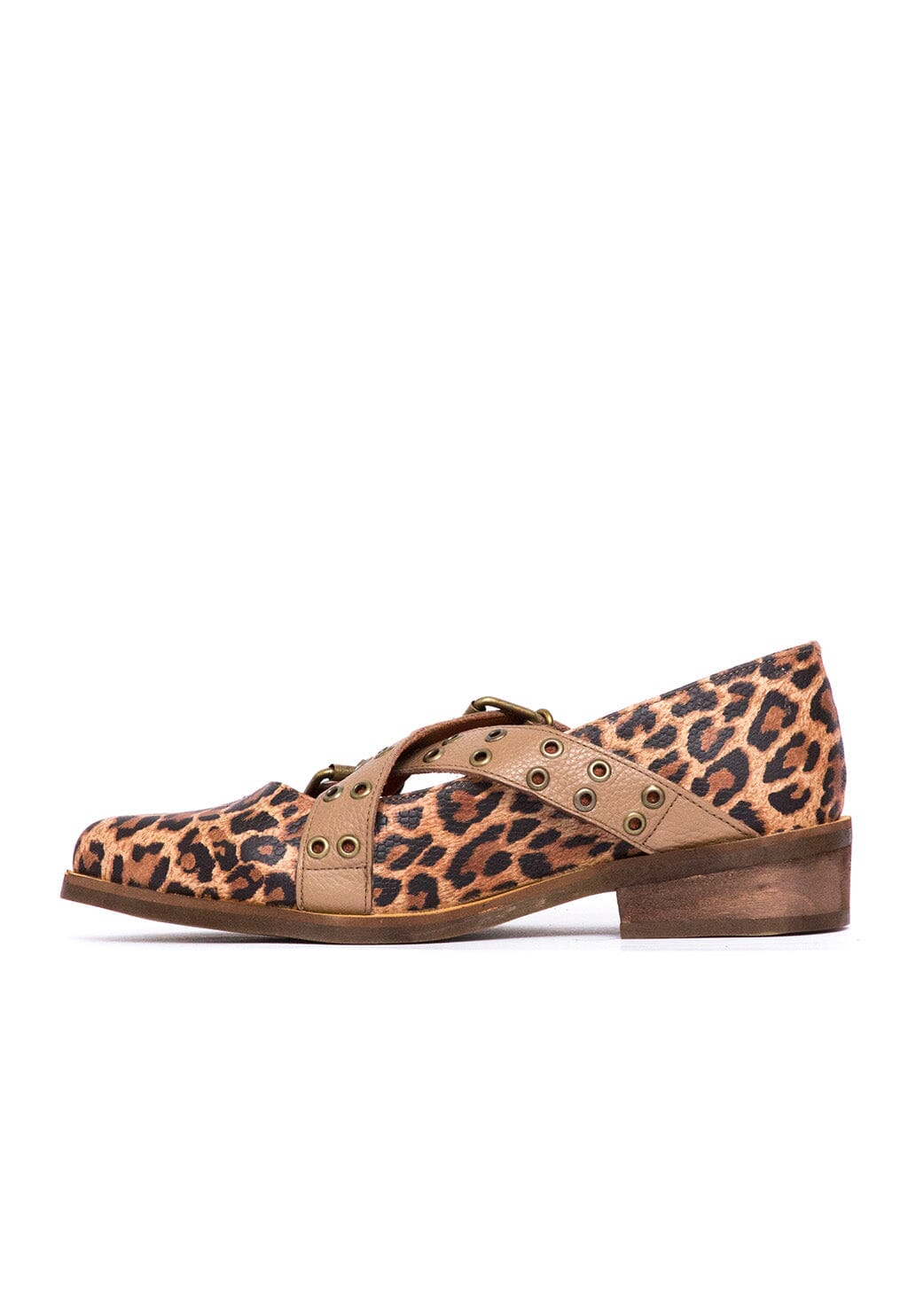 Zapato Mujer / Etna Café Print ZAPATOS Giani Dafirenze