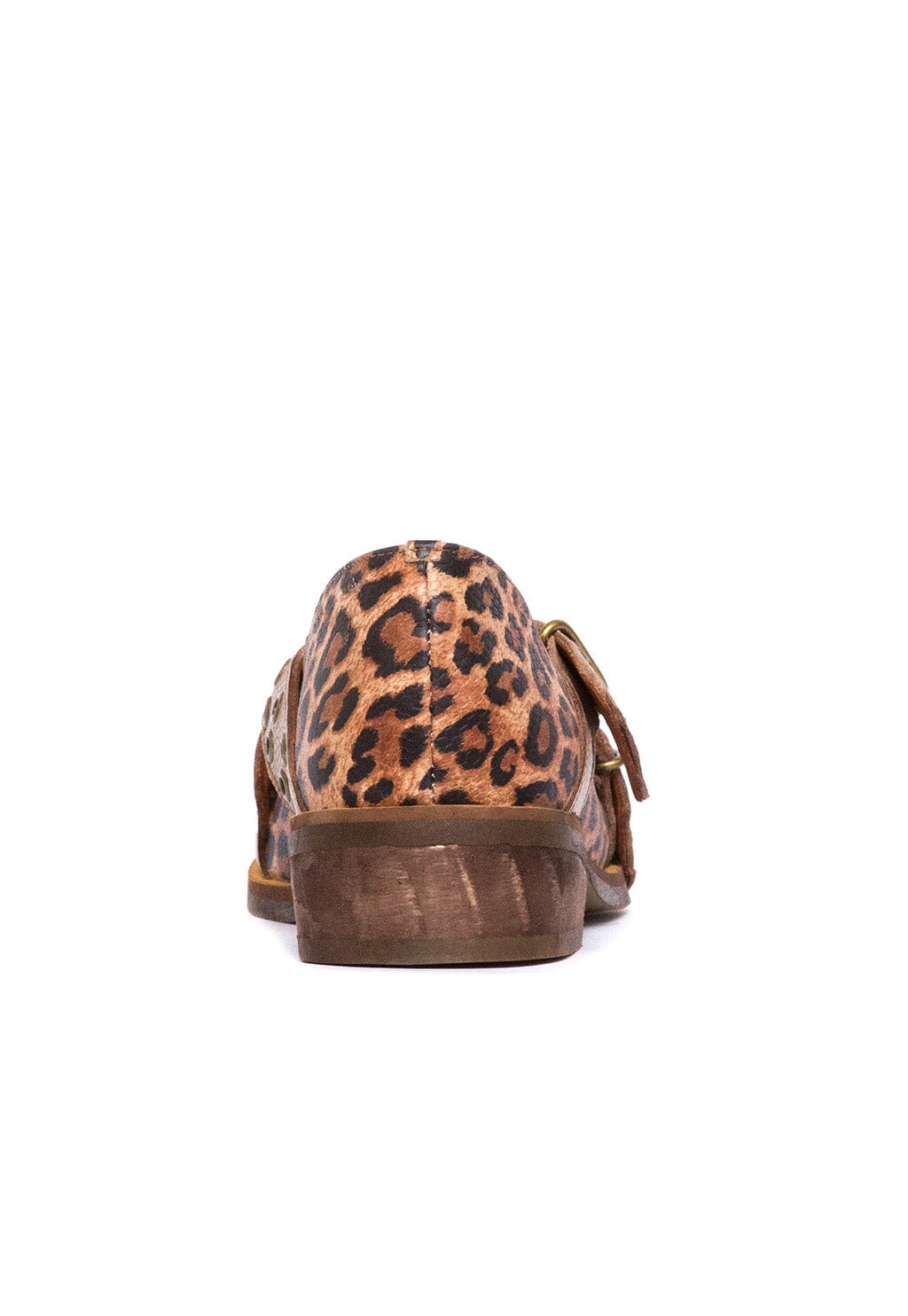 Zapato Mujer / Etna Café Print ZAPATOS Giani Dafirenze