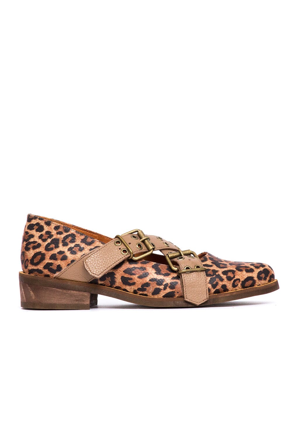 Zapato Mujer / Etna Café Print ZAPATOS Giani Dafirenze