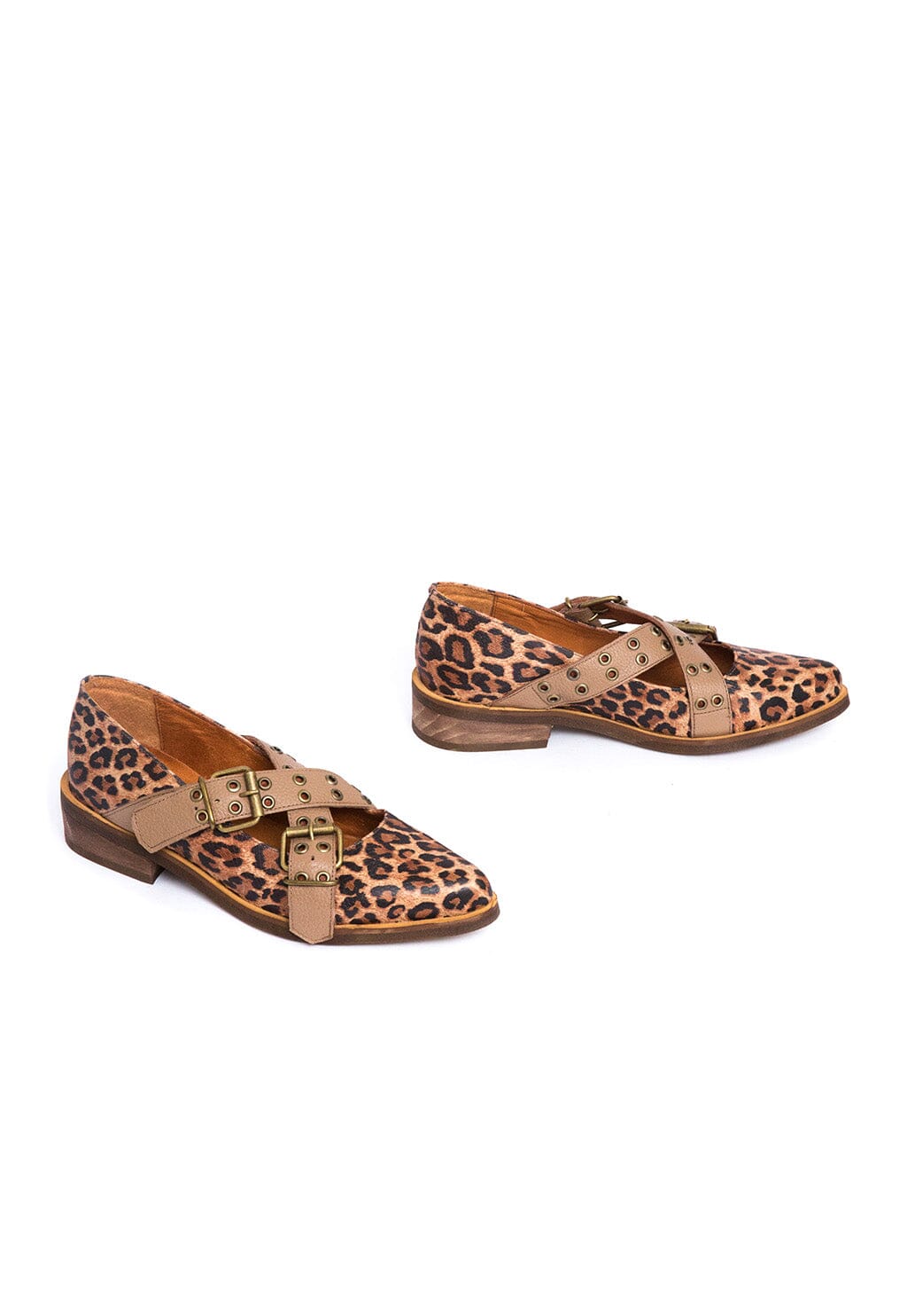 Zapato Mujer / Etna Café Print ZAPATOS Giani Dafirenze