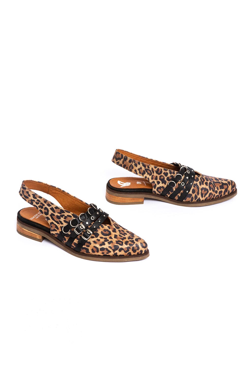 Zapato Mujer / Fior Print Negro ZAPATOS Giani Dafirenze