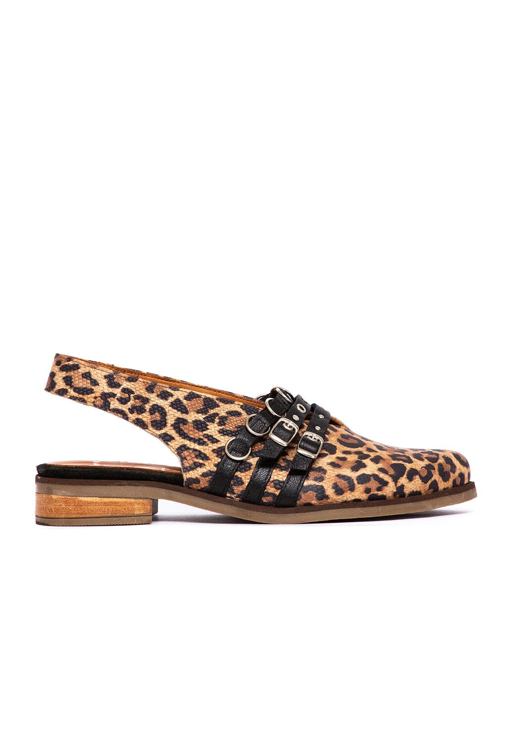 Zapato Mujer / Fior Print Negro ZAPATOS Giani Dafirenze