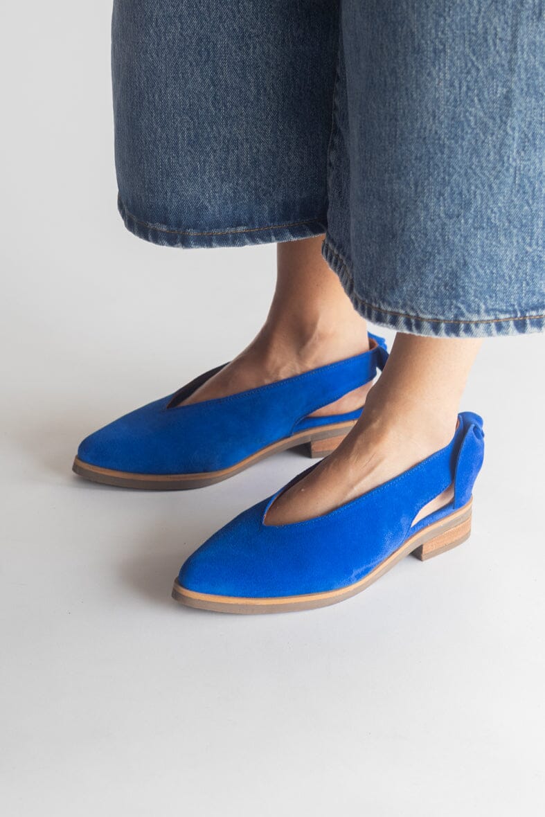 Zapato Mujer / Guindo Azul Claro ZAPATOS Giani Dafirenze