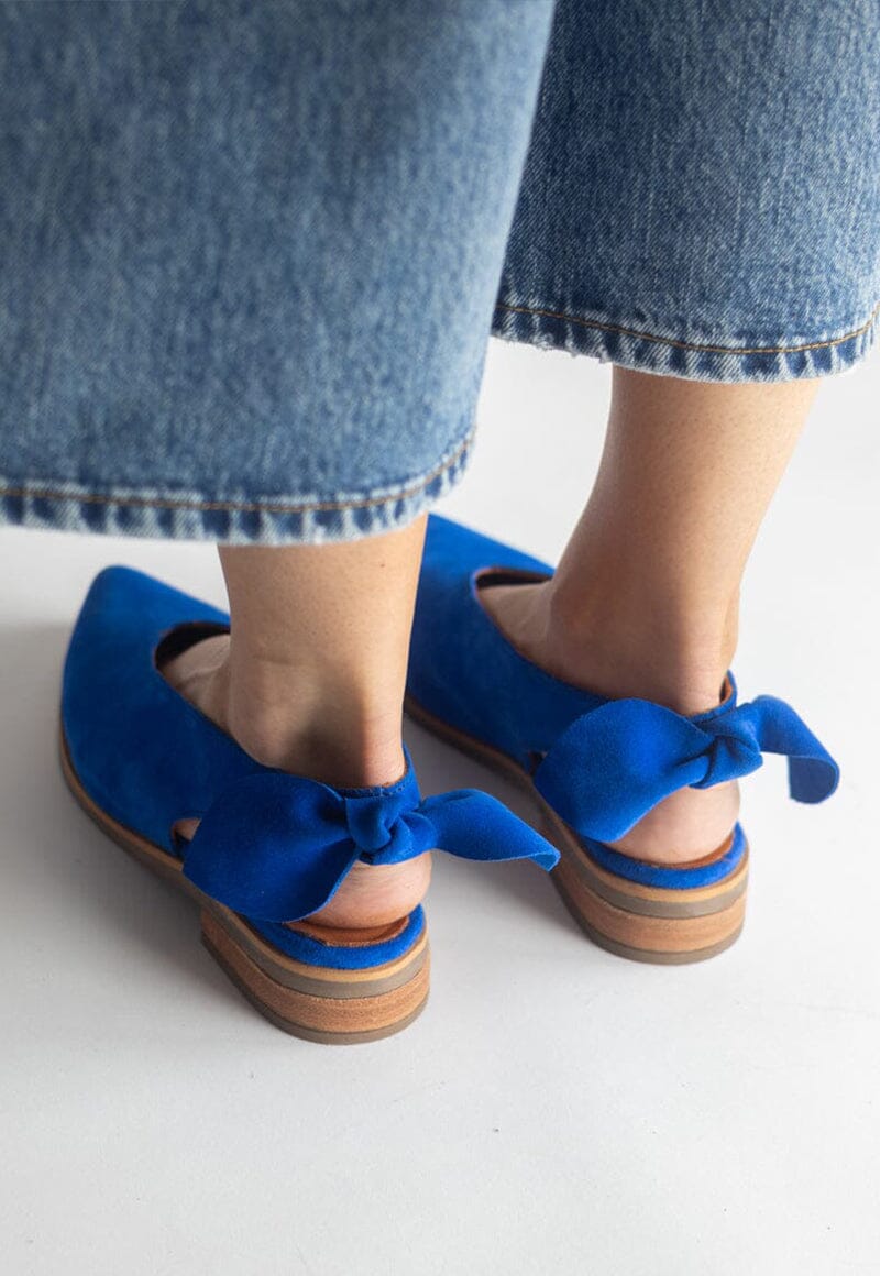 Zapato Mujer / Guindo Azul Claro ZAPATOS Giani Dafirenze