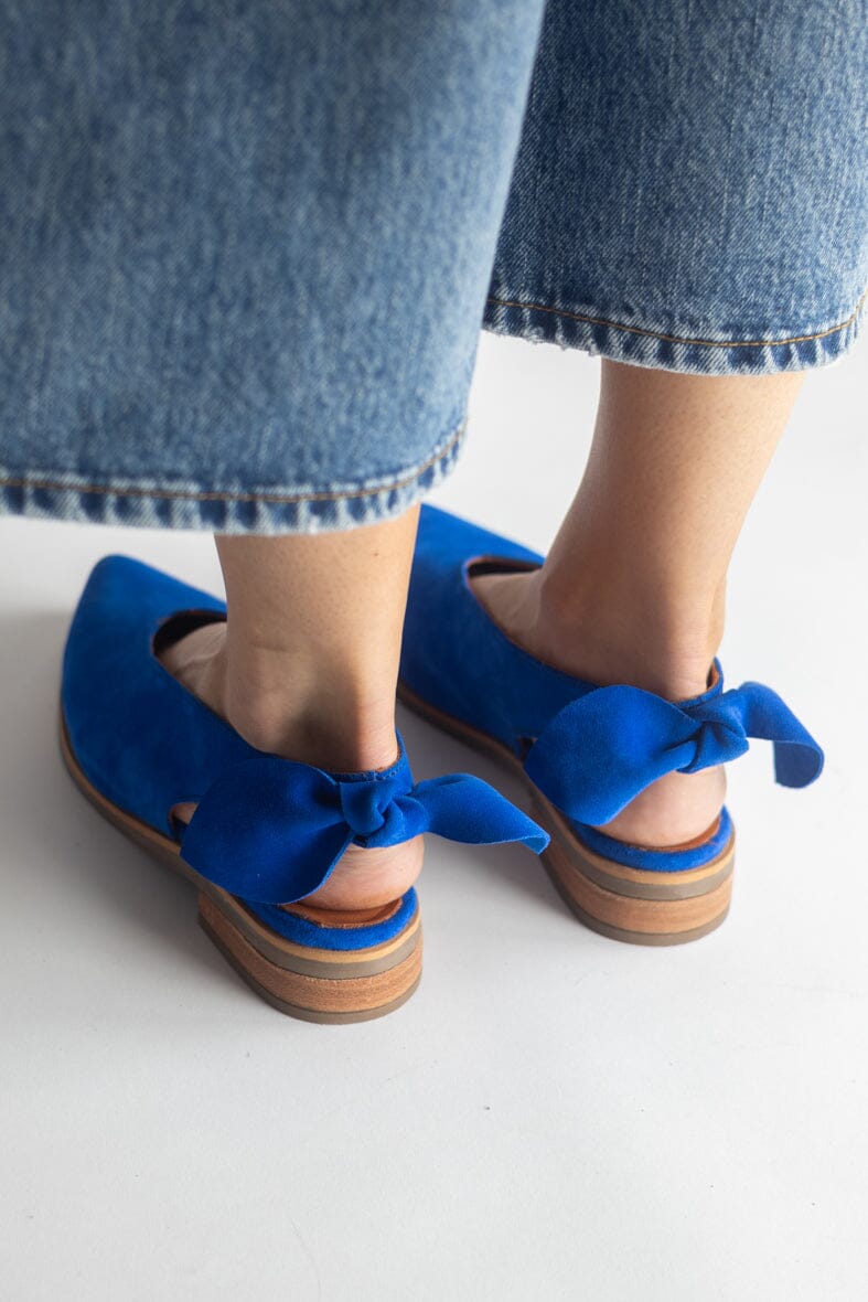 Zapato Mujer / Guindo Azul Claro ZAPATOS Giani Dafirenze
