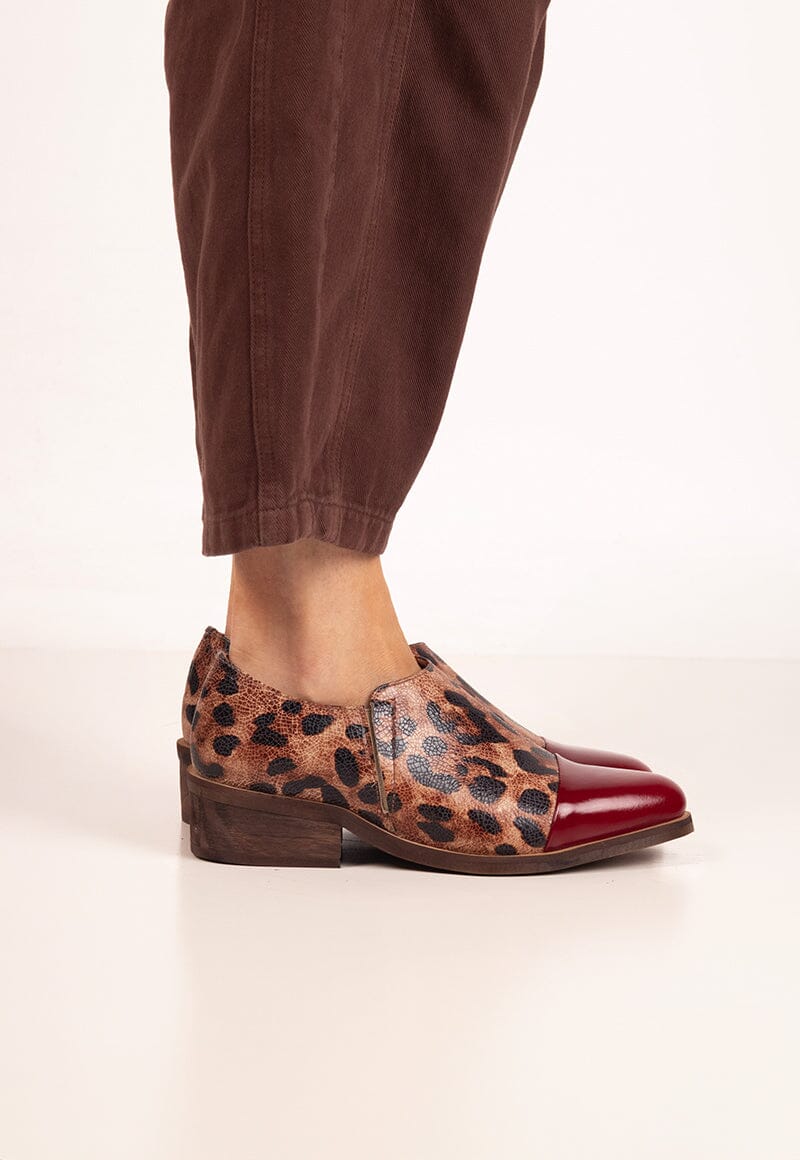 Zapato Mujer / Homero Burdeo Print ZAPATOS Giani Dafirenze