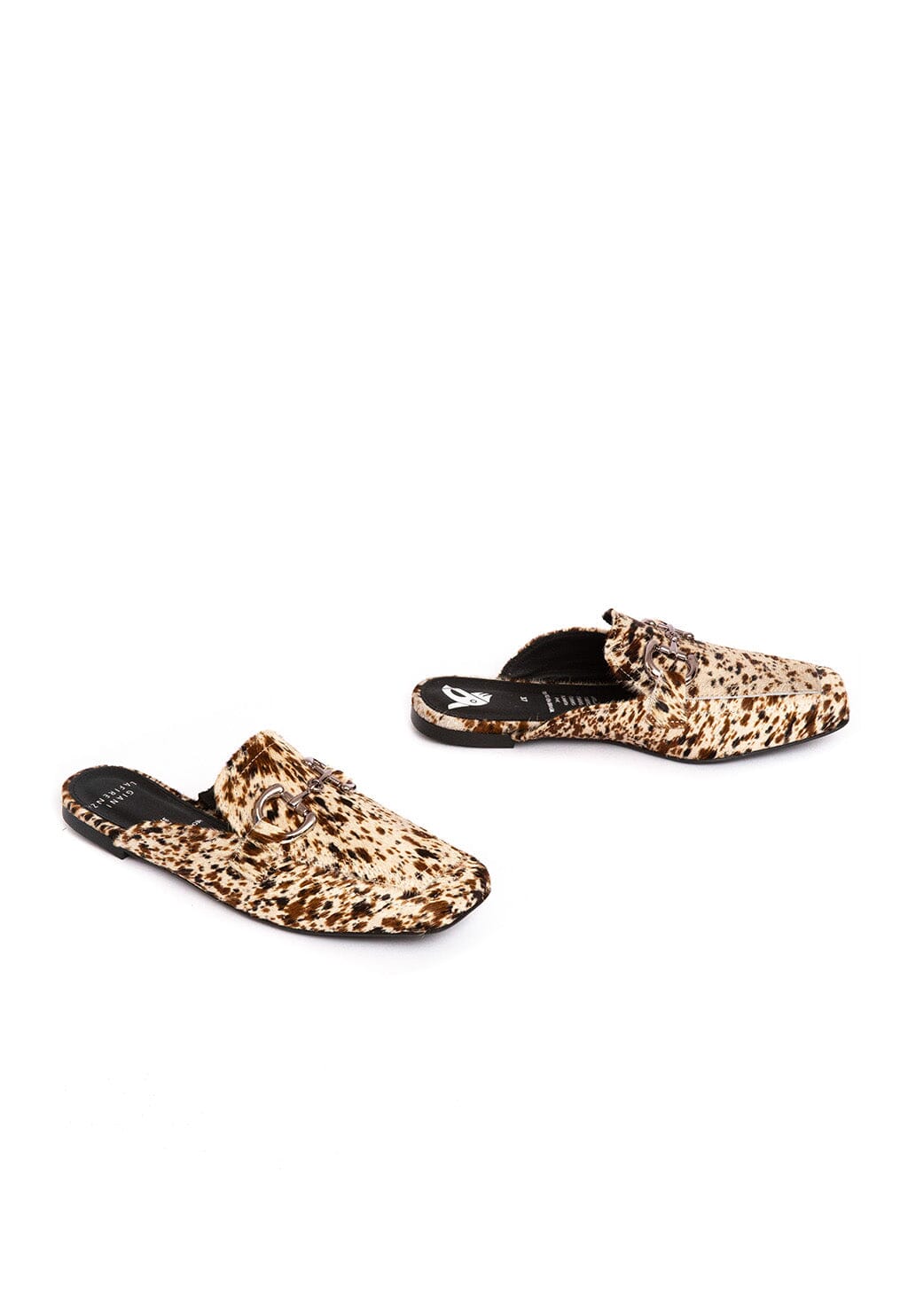 Babucha Mujer / Bosco Print BABUCHAS Giani Dafirenze 