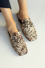 Babucha Mujer / Bosco Print BABUCHAS Giani Dafirenze 