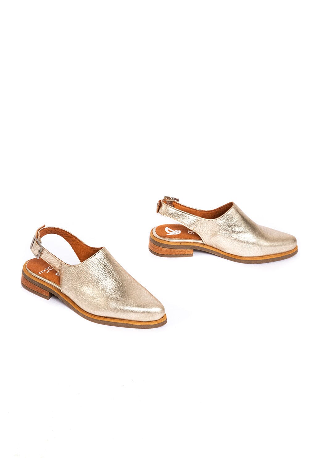 Babucha Mujer / Cardelina Niquel ZAPATOS Giani Dafirenze 