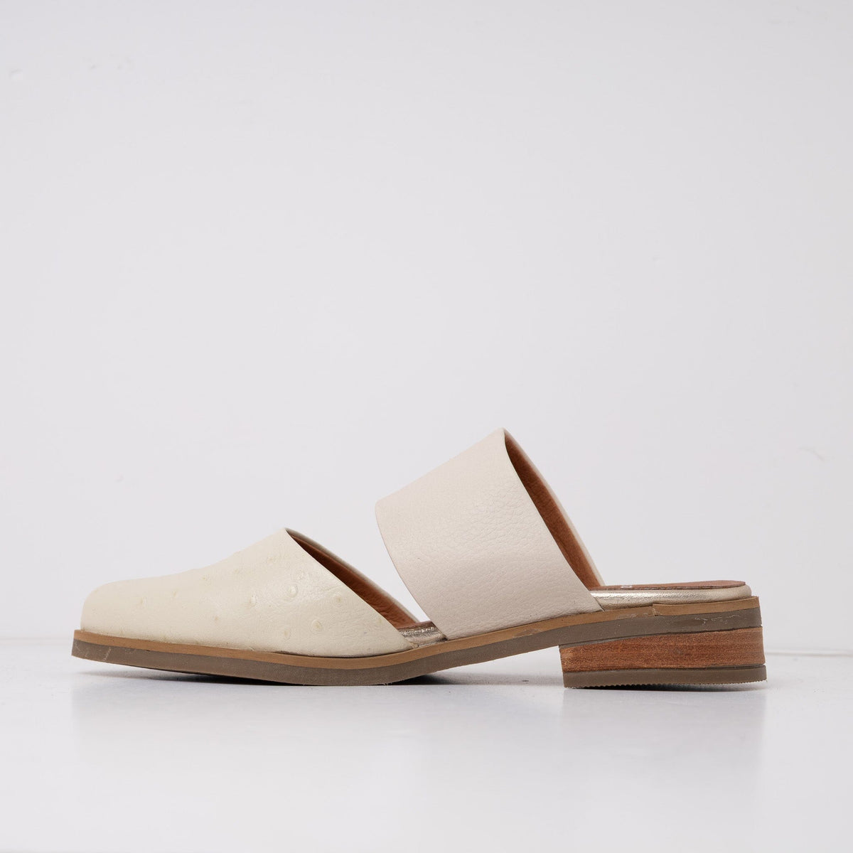 Babucha Mujer / Gaviota Beige BABUCHAS Giani Dafirenze 