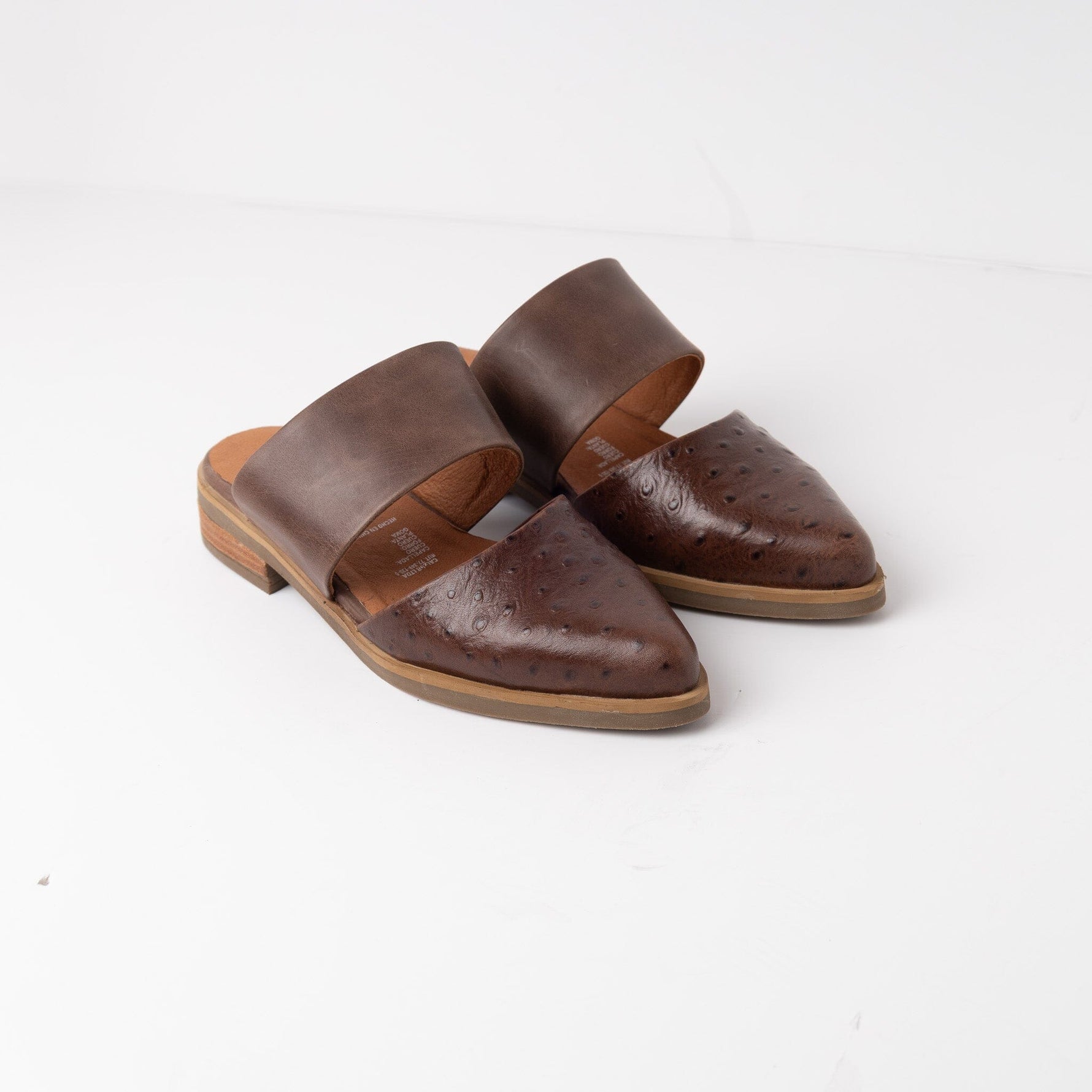 Babucha Mujer / Gaviota Café BABUCHAS Giani Dafirenze 
